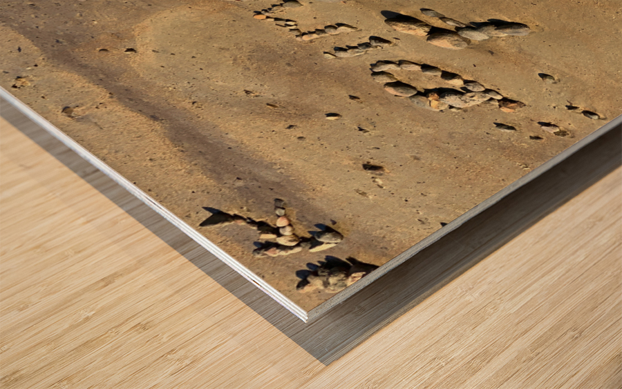 Dimanche Fou Written on the Beach Wood print