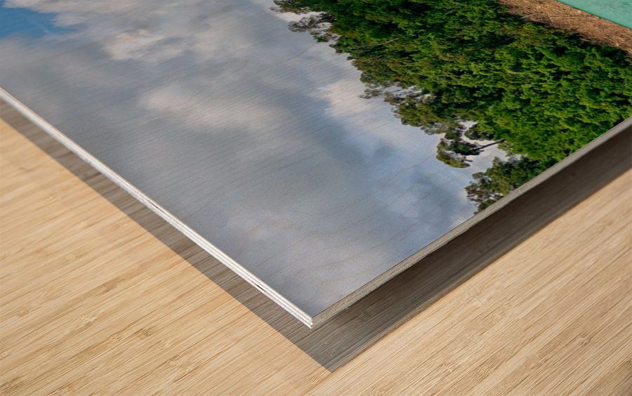 Land & Water Wood print