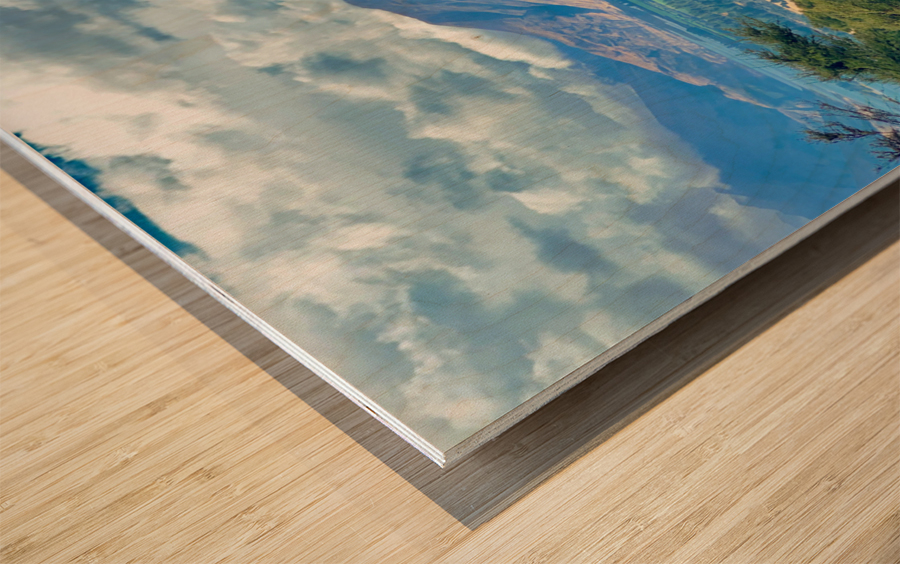 View From Mount Iron New Zealand Wood print