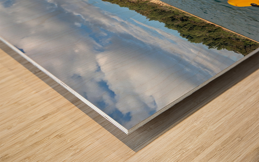 Split Apple Rock New Zealand 2 Wood print