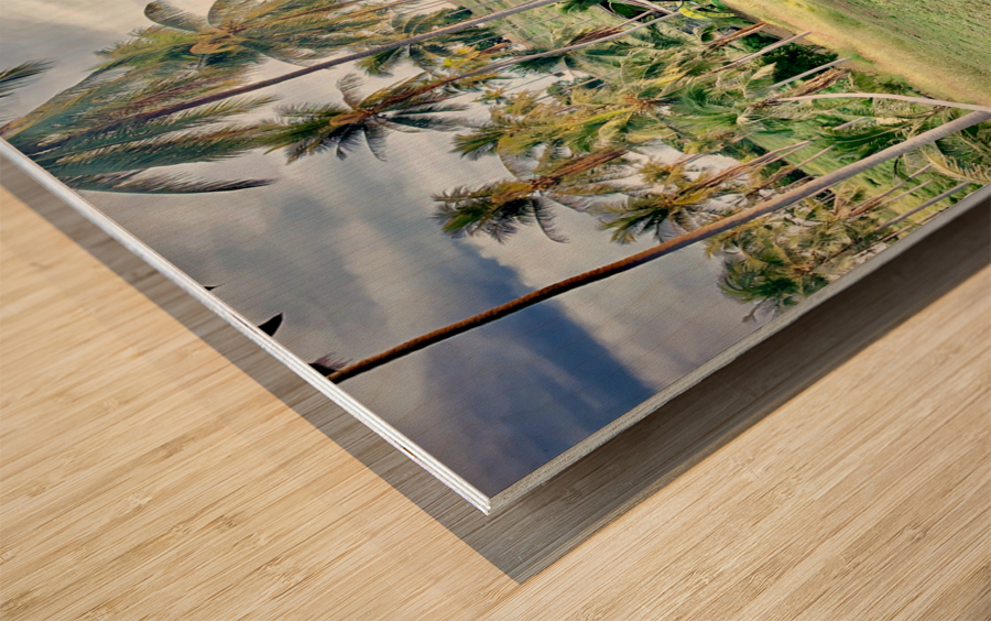 Big Rusty Shack Coconut Wood print