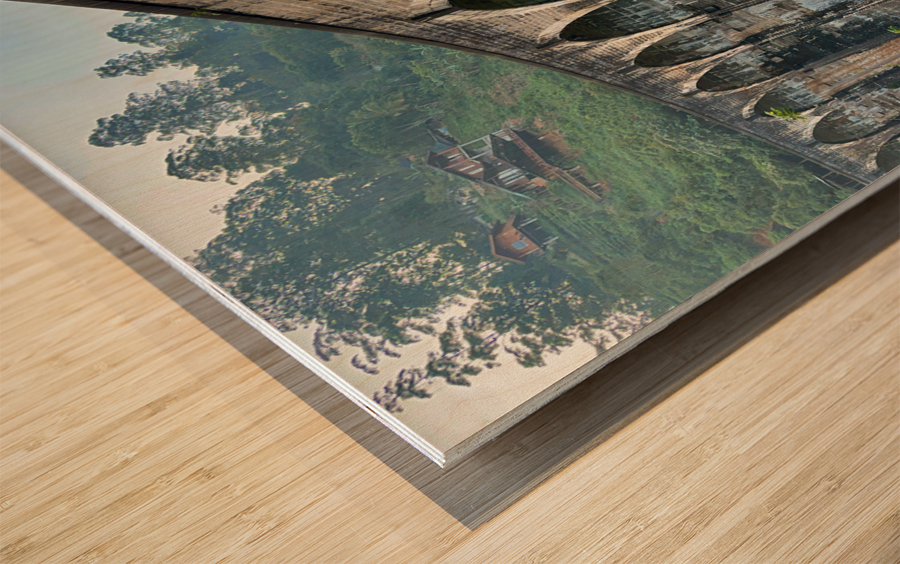 9 Arch Bridge Ella 4 Wood print