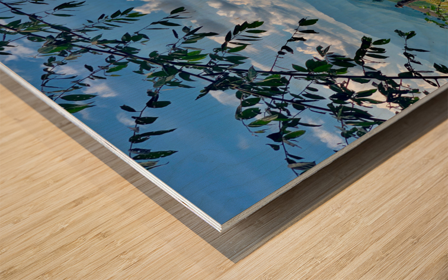 Amazing Landscape Wood print