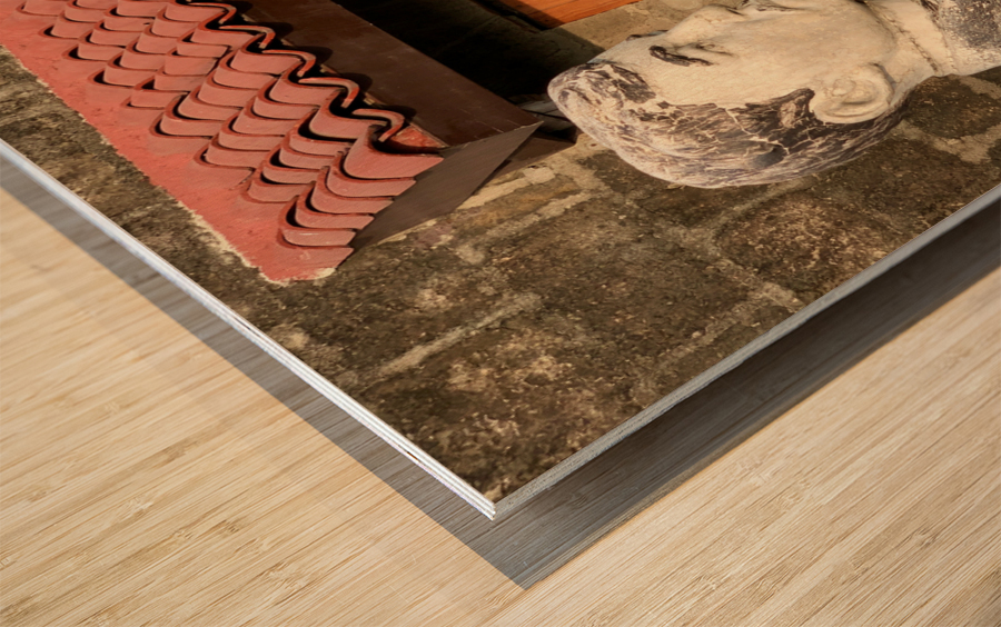 Busted Door Wood print