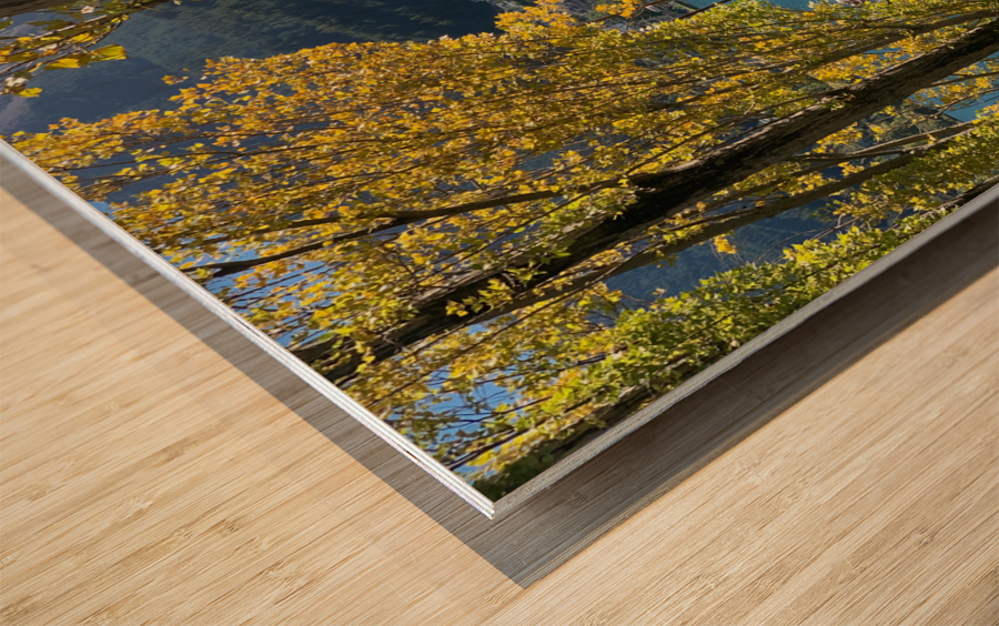 Autumn Boat Wood print