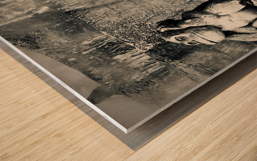 BW Didn t See it Didn t Hear it Monkeys Wood print