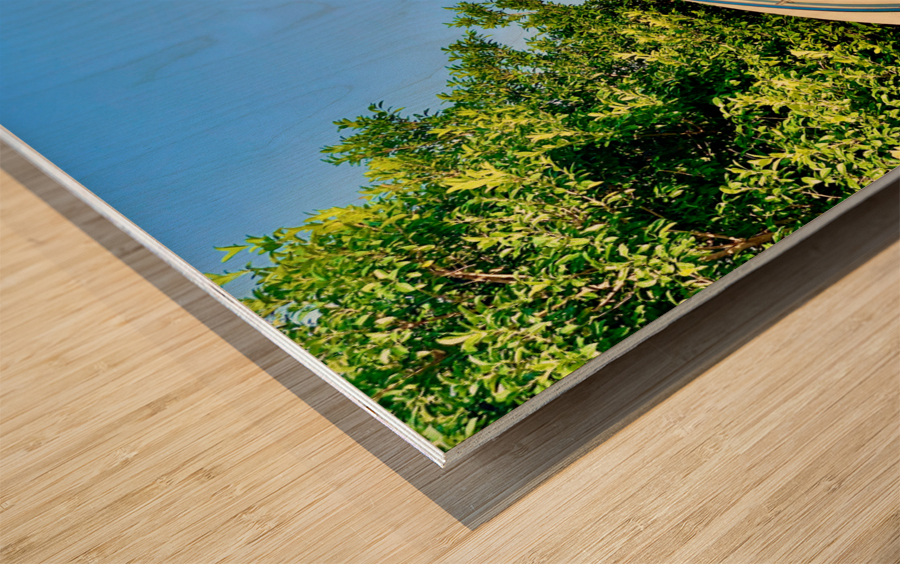 Golden Mount Temple Orange Stairs Bangkok 2 Wood print