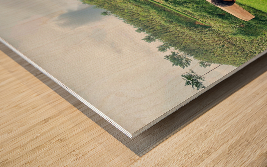 Carry the Log with a Smile Wood print