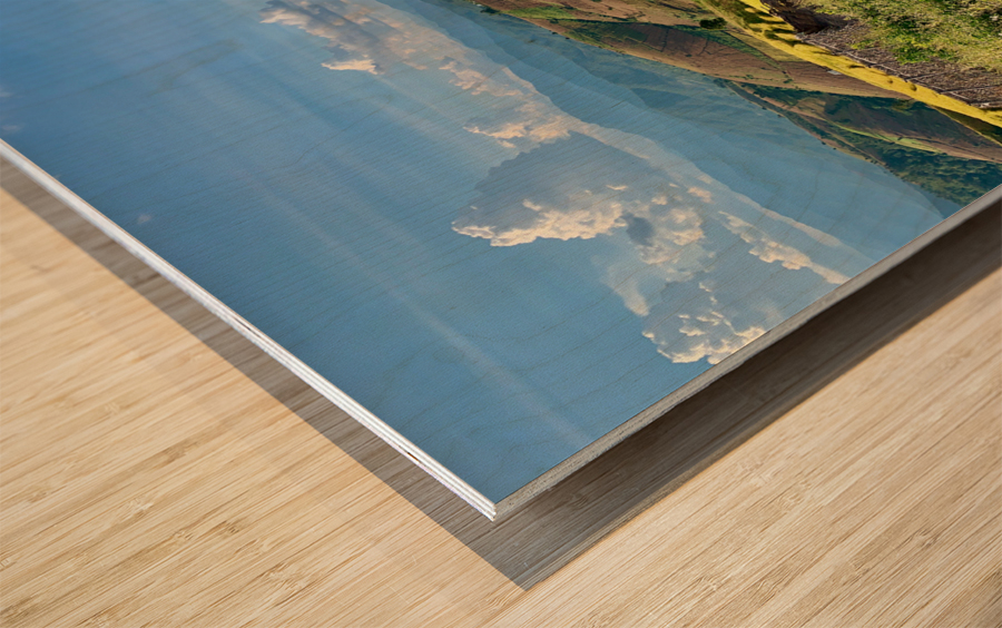 Colorful Rice Fields Wood print