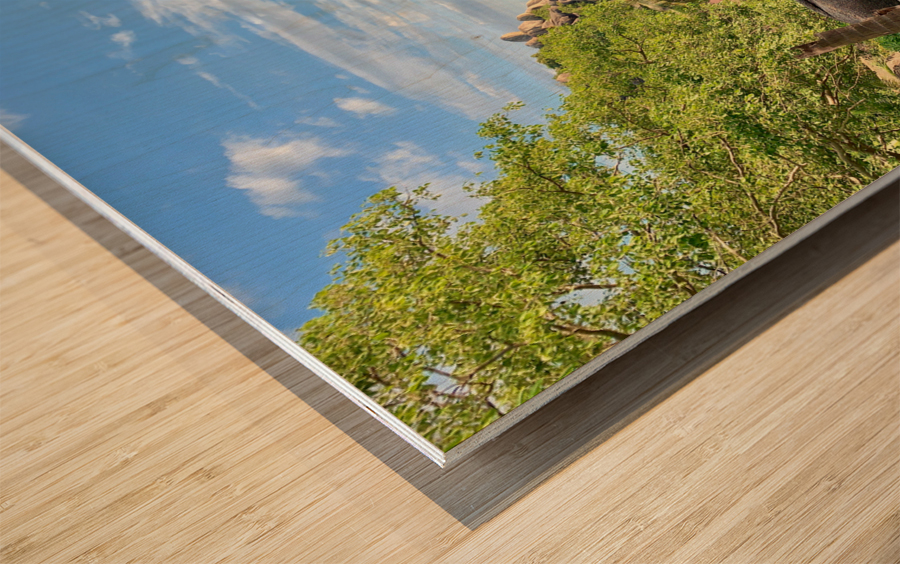 Hidden Gem Bungalow Wood print