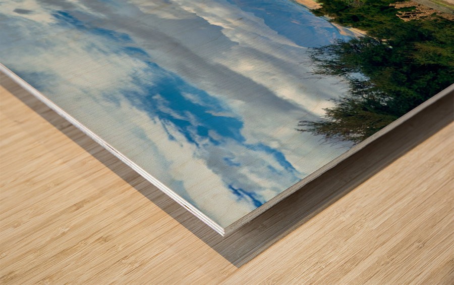 Dog on Mount Iron New Zealand Impression sur bois