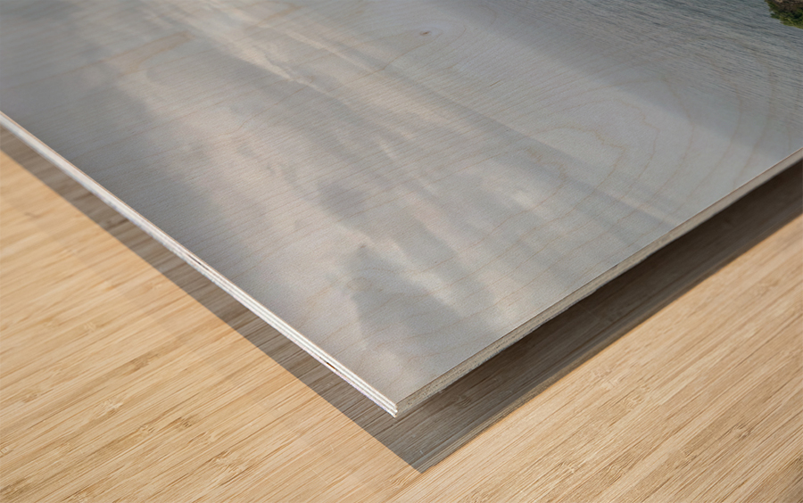 Kelingking Beach Nusa Penida Indonesia Wood print