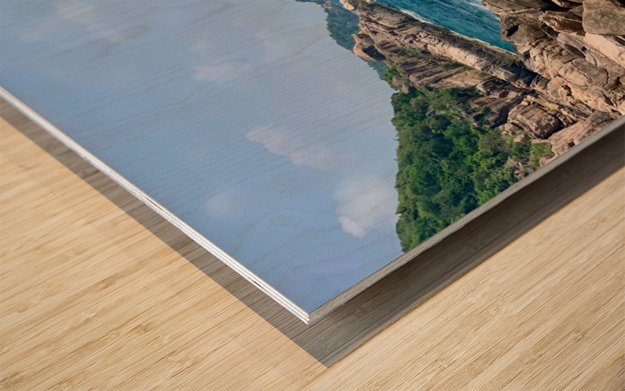 Island Coast Wood print