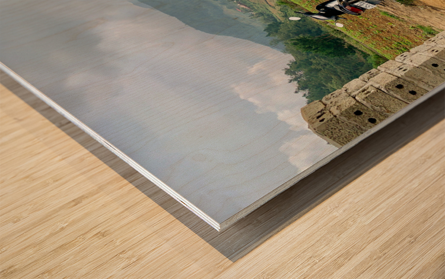 Park Your Bike and Enjoy the View Wood print