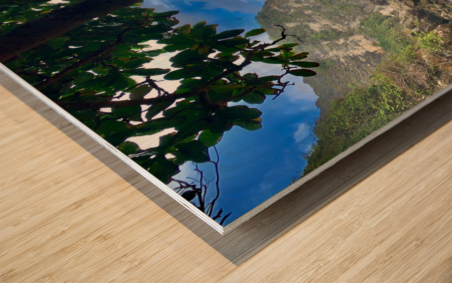 Mysterious Island Bay Wood print