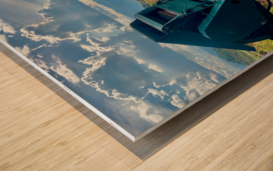 Rice Mill in the Field Wood print