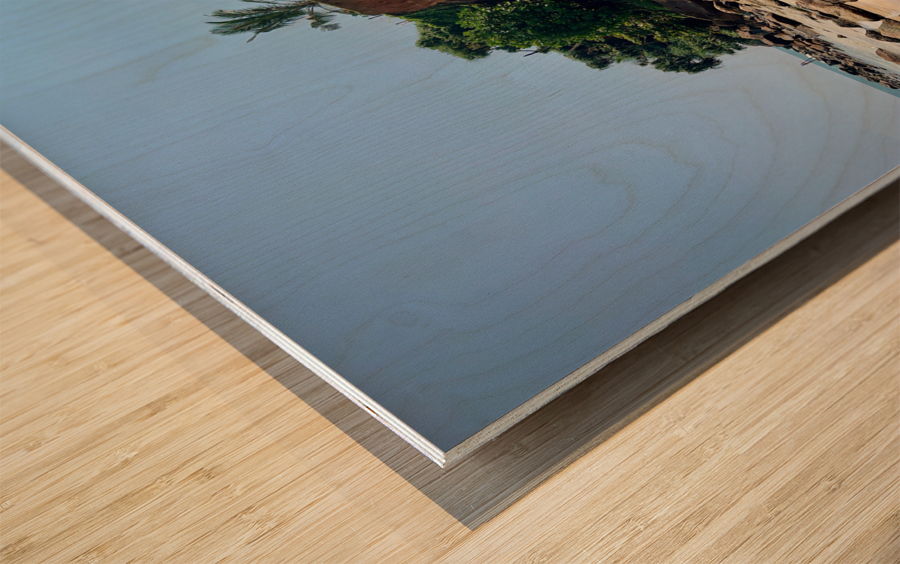 Parrot Rock Sri Lanka Wood print