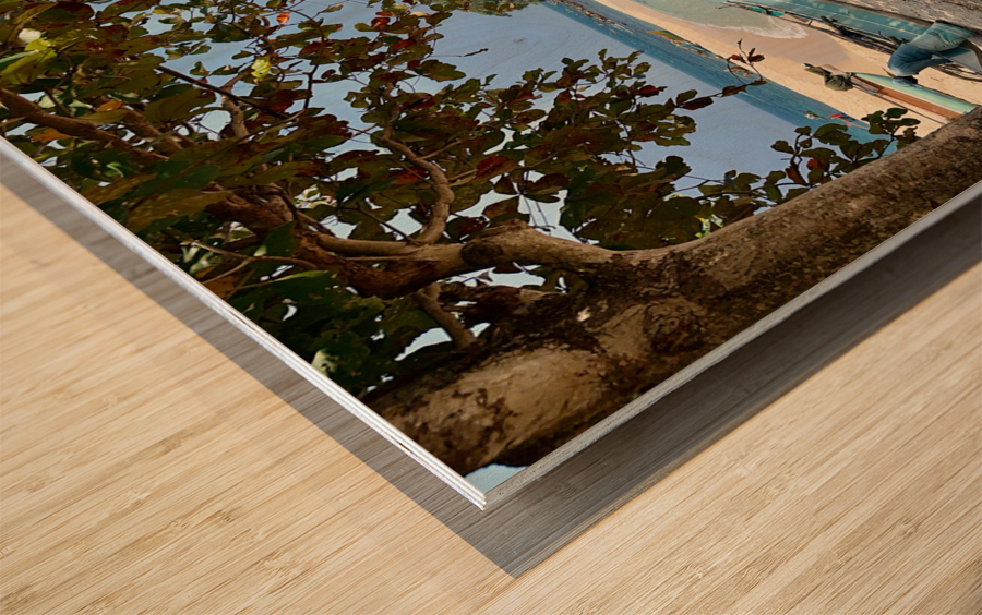 Nilwella Beach Sri Lanka Wood print