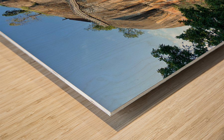 Lion s Rock Sigiriya Sri Lanka 2 Wood print