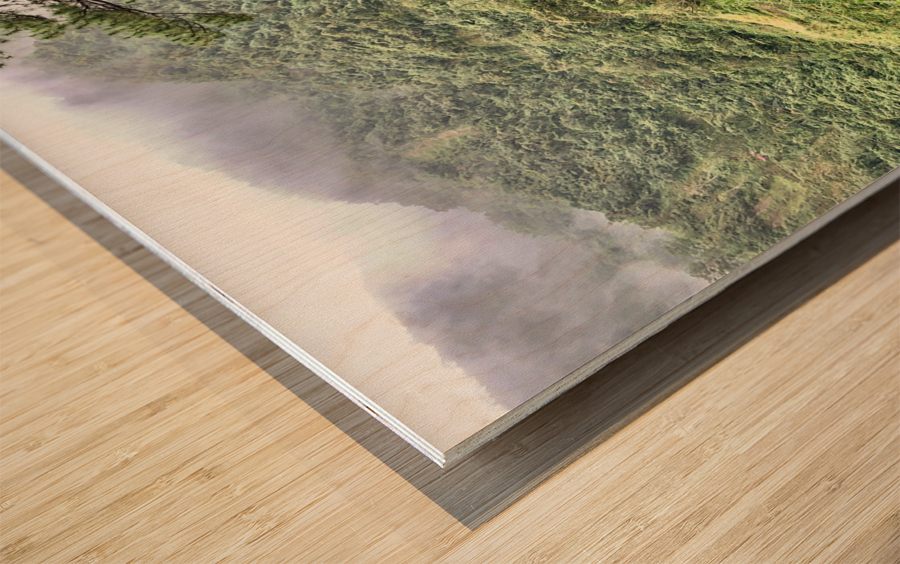 Living in the Mountains Wood print