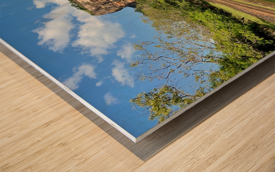 On Sigiriya s Path Wood print