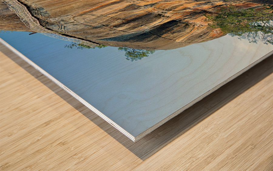 Lions Rock Sigiriya Sri Lanka Wood print