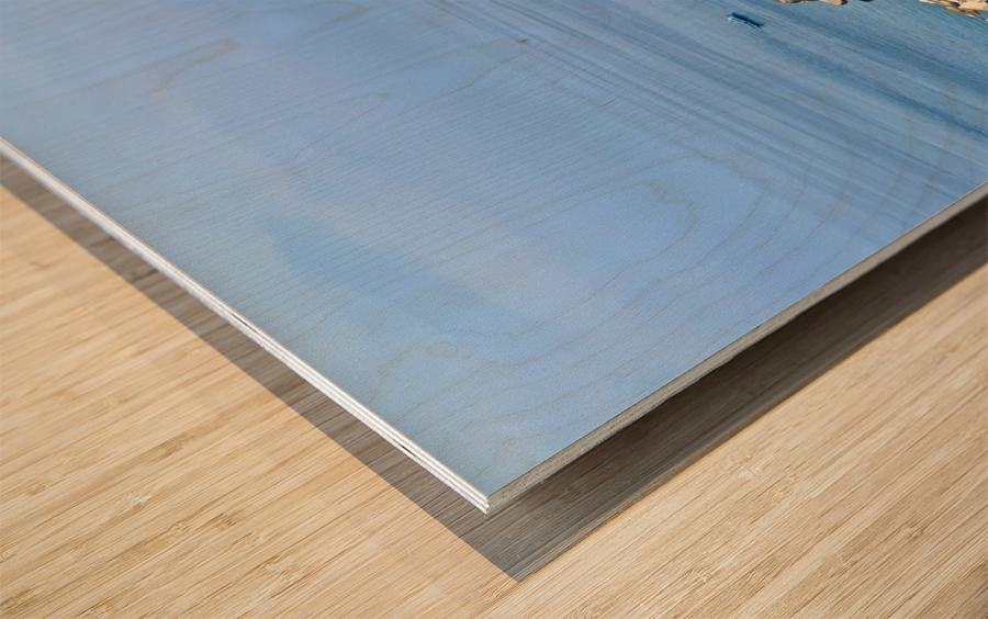 Sai Daeng Koh Tao Wood print