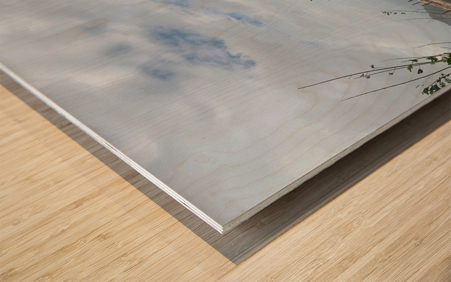 The Tree  The Wall Wood print