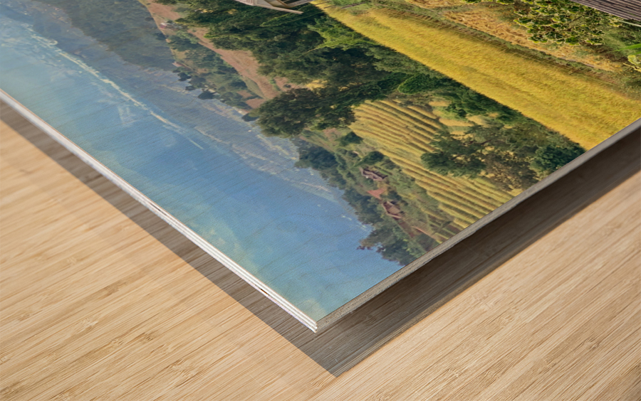 Village in the Rice Fields 2 Wood print