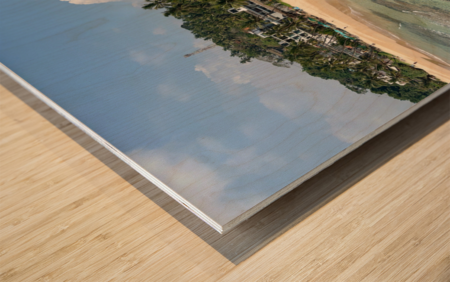 View From Parrot Rock Sri Lanka Wood print