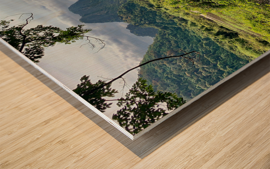 Wetland and Mountains Wood print