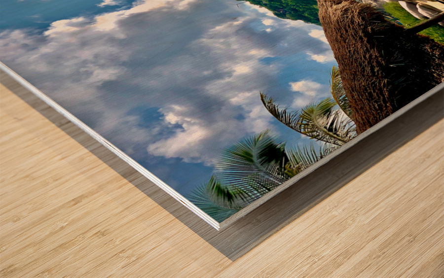 View on Chalok Bay Koh Tao Wood print