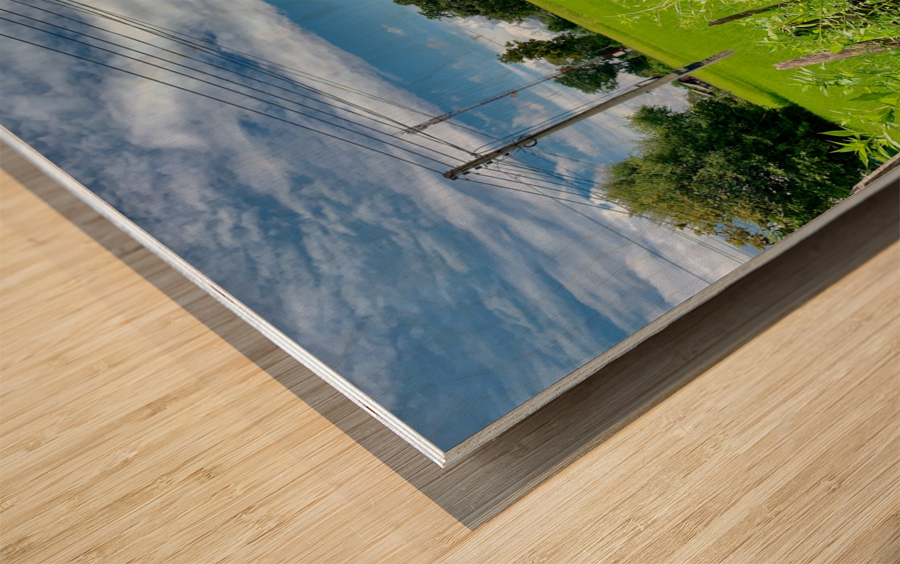 Village House Wood print