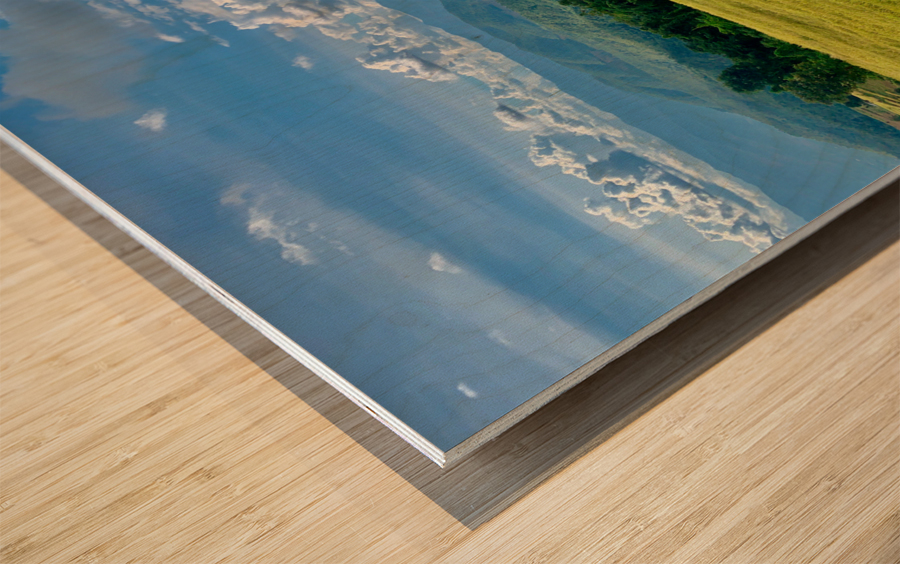 Village in the Rice Fields 3 Wood print