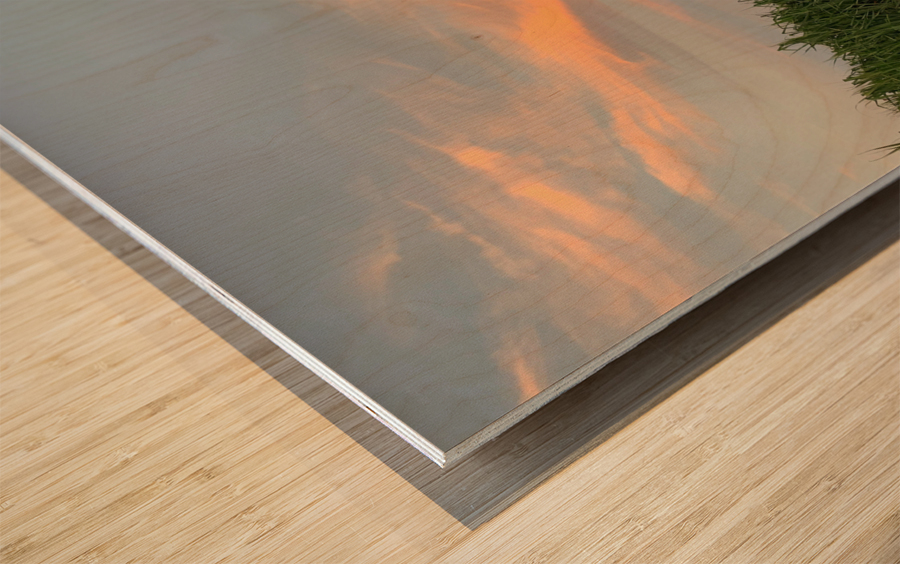 Calming Sky Wood print