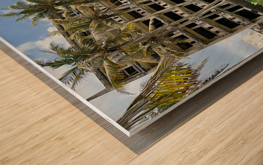 Abandoned Building with Palm Trees Wood print