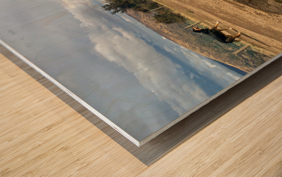 Dog on the Top of Mount Iron New Zealand Wood print