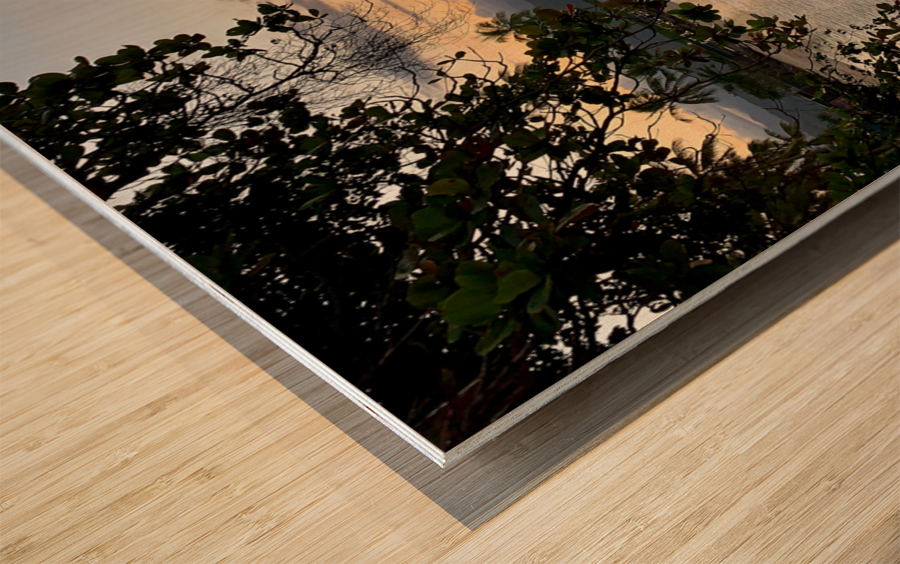 Long Building on Water during Sunset Wood print