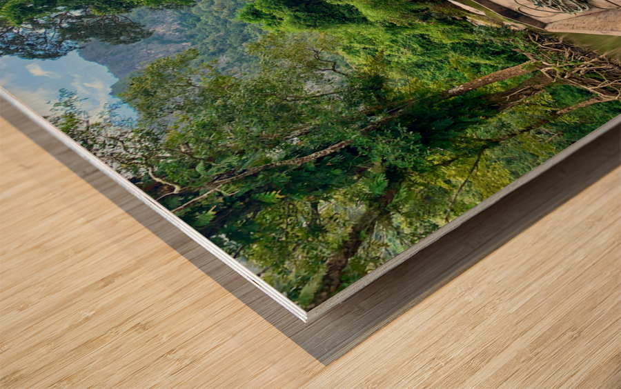 Boat Trip in Laos Wood print