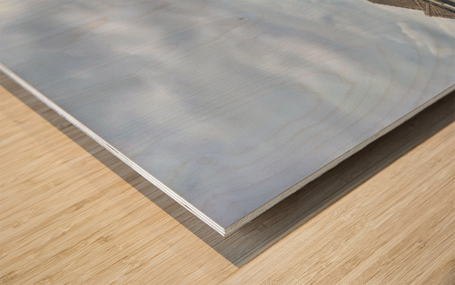 Bangkok Riverside Wood print