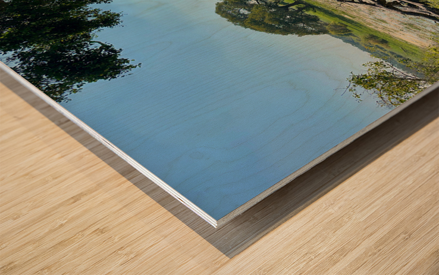 Yala National Park Sri Lanka 3 Wood print