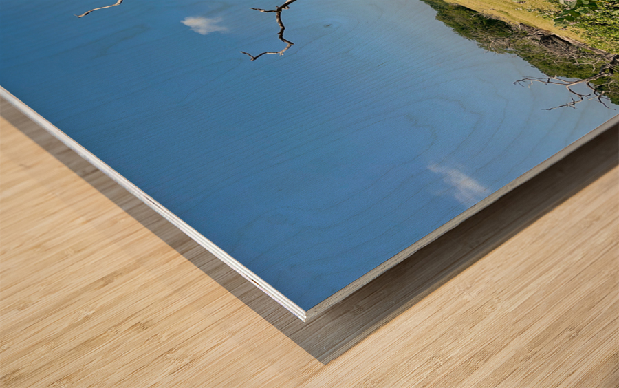 Yala National Park Sri Lanka 2 Wood print