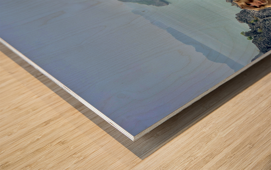 Monkey Eating a Banana Wood print