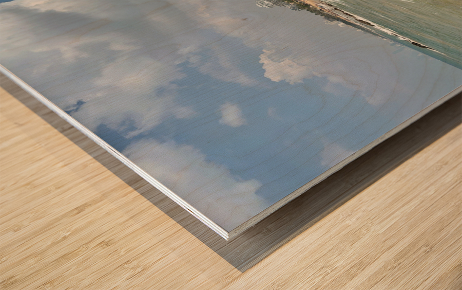 Sri Lankan Coast Wood print