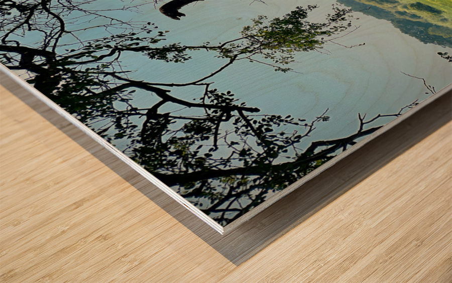 Yala National Park Sri Lanka 4 Wood print