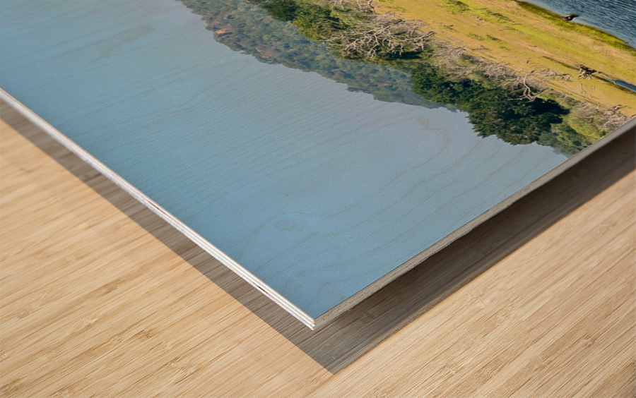 Yala National Park Sri Lanka Wood print