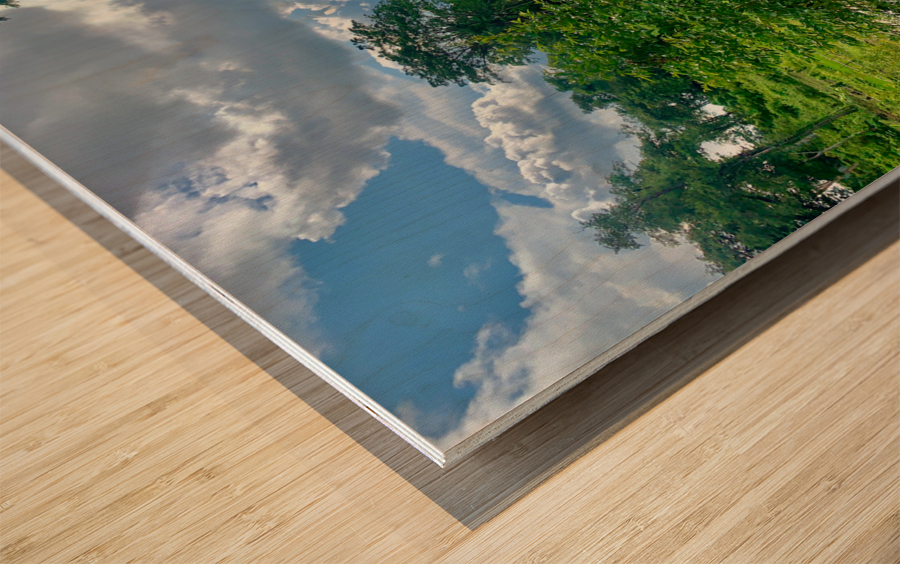 Riding by the Rice Fields Wood print