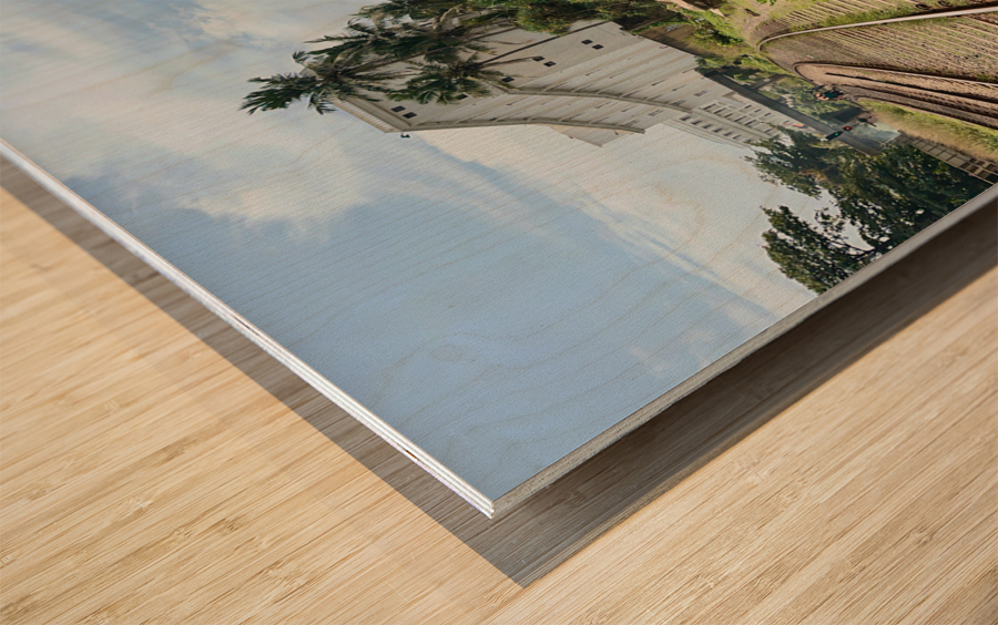 Railroad by the Ocean Wood print