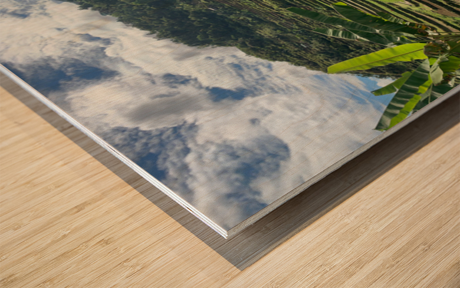 Banaue Philippines 15 Wood print