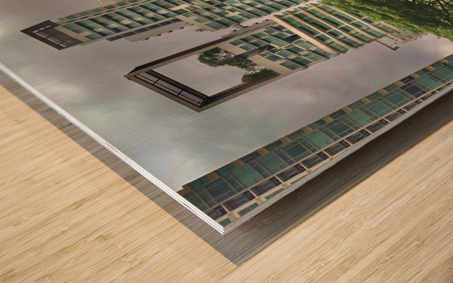 Around Singapore 2 Wood print